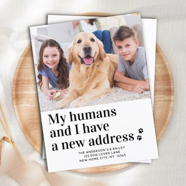 Postal Nueva dirección moderna en la que me mudé un perro (Subido por el creador)