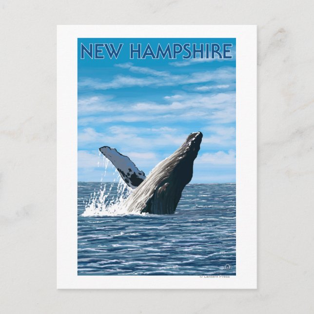 Postal Nueva escena de ballenas HampshireHumpback (Anverso)