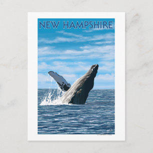 Postal Nueva escena de ballenas HampshireHumpback