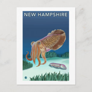 Postal Nueva escena de HampshireCuttlefish