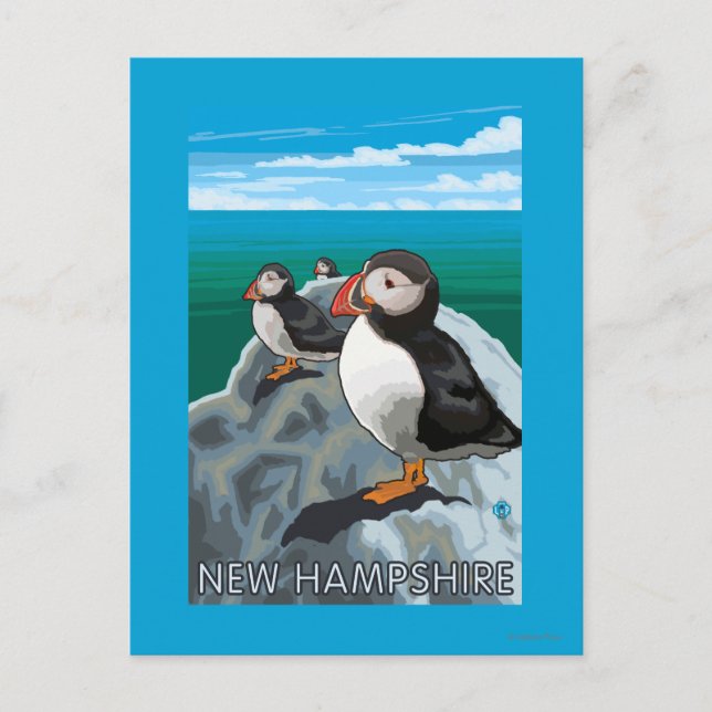 Postal Nueva escena de HampshirePuffins (Anverso)