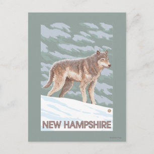 Postal Nueva escena de HampshireWolf