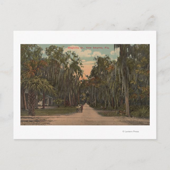 Postal Nueva Esmirna, Florida - Vista de Magnolia (Anverso)