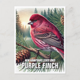 Postal Nueva Hampshire State Bird Purple Finch