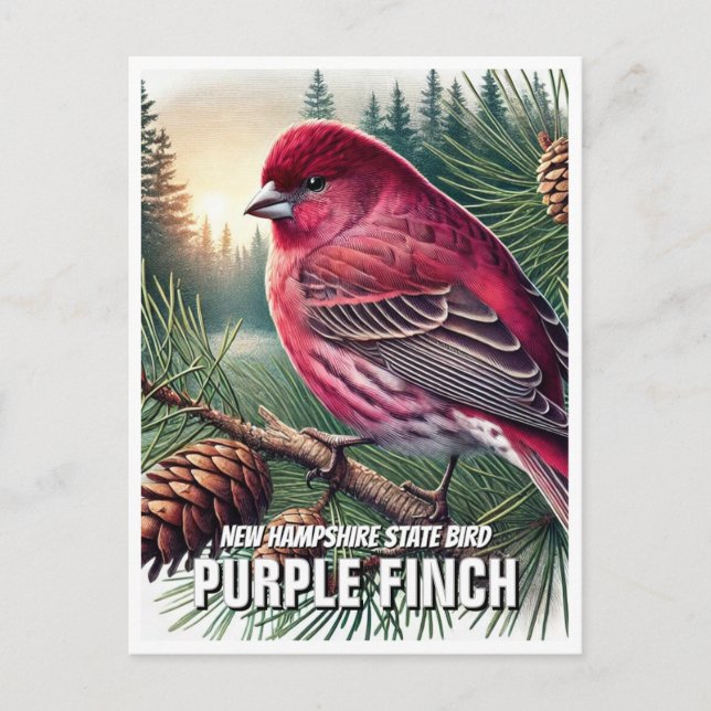 Postal Nueva Hampshire State Bird Purple Finch (Anverso)