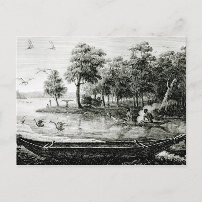 Postal Nueva Holanda: Nueva Gales del Sur (Anverso)