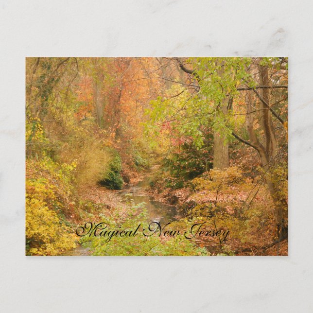 Postal Nueva Jersey en otoño (Anverso)