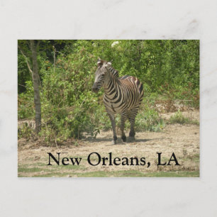 Postal Nueva Orleans, LA Postcard