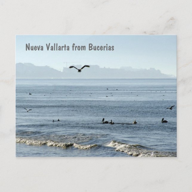 Postal Nueva Vallarta de Bucerias (Anverso)
