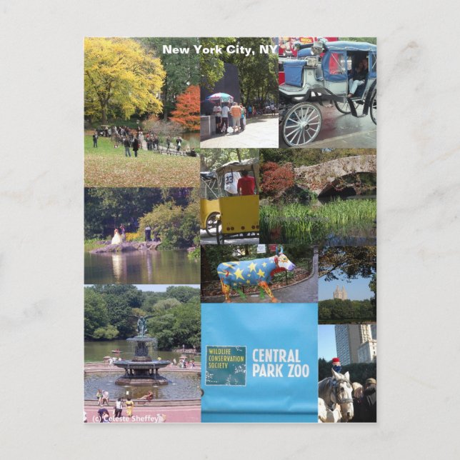 Postal Nueva York (Anverso)