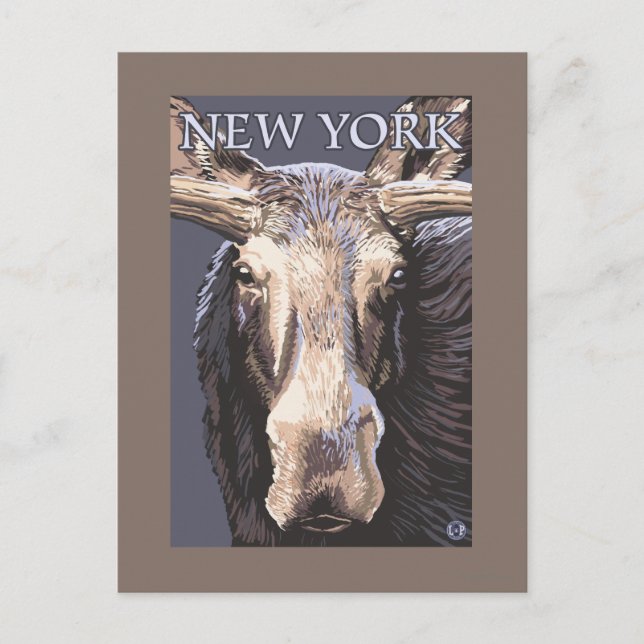 Postal Nueva York Moose Arriba Cierre (Anverso)