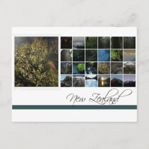 Postal Nueva Zelanda