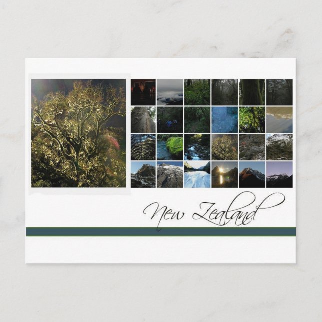 Postal Nueva Zelanda (Anverso)