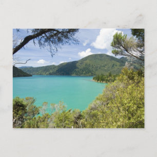 Postal Nueva Zelanda, Isla del Sur, Marlborough Sounds.