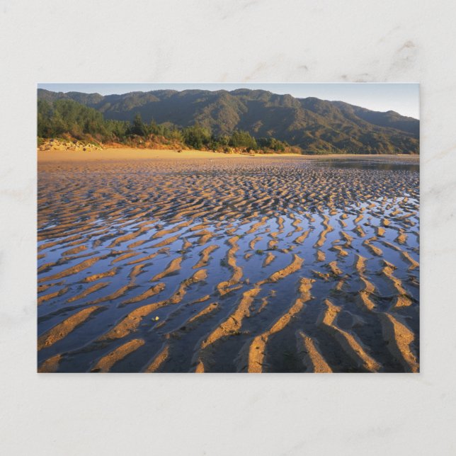 Postal Nueva Zelanda, Parque Nacional Abel Tasman, Costa  (Anverso)