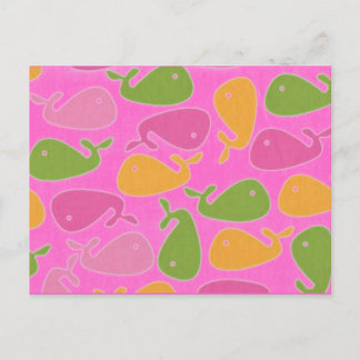 Postal nuevas ballenas canarias