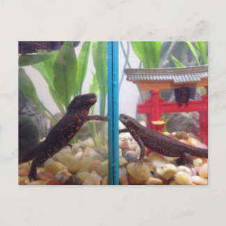 Postal Nuevas noticias llegando