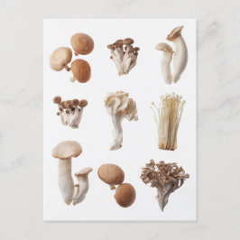 Postal Nueve hongos Brown
