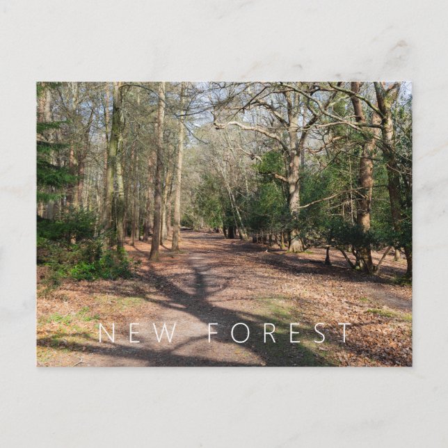 Postal Nuevo bosque (Anverso)