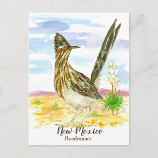 Postal Nuevo Camino de Aves del Estado de México Yucca