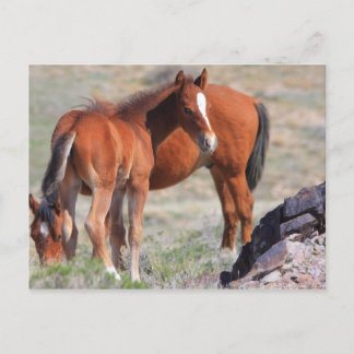 Postal Nuevo comienzo