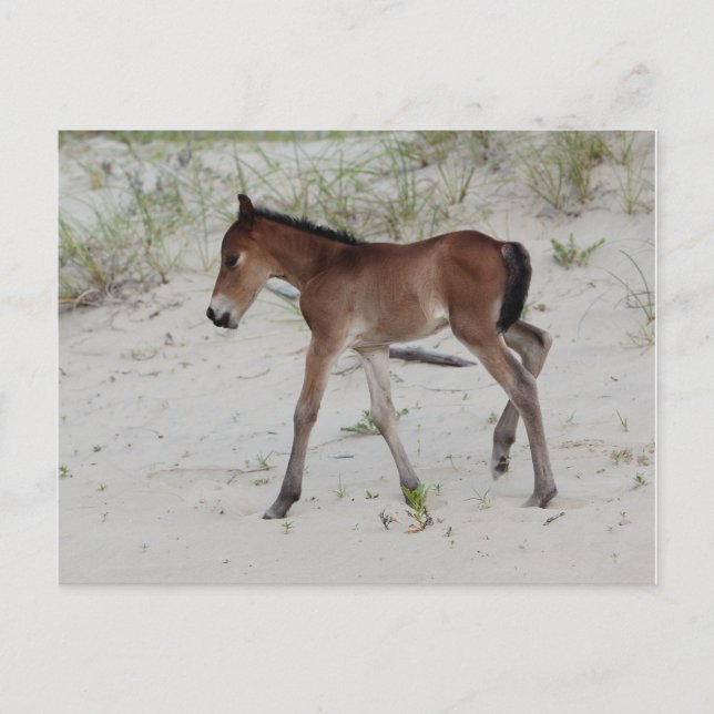 Postal Nuevo día (Anverso)