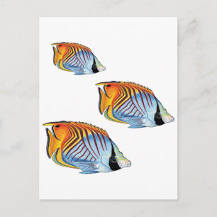 POSTAL NUEVO DÍA ESCOLAR