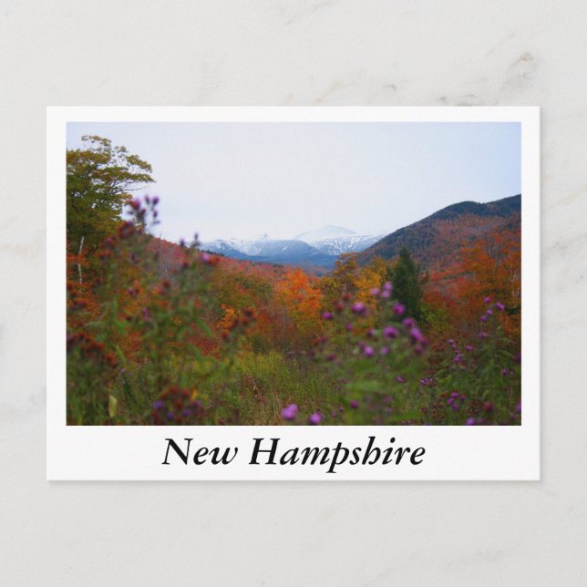 Postal Nuevo Hampshire (Anverso)