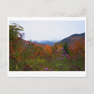Postal Nuevo Hampshire