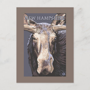 Postal Nuevo Hampshire Moose Arriba Cerca
