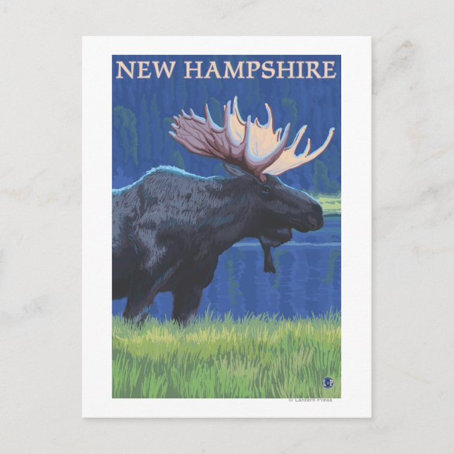 Postal Nuevo Hampshire Moose en la luz de la luna (Anverso)