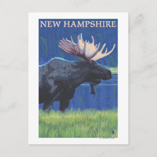 Postal Nuevo Hampshire Moose en la luz de la luna