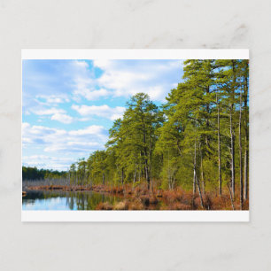 Postal Nuevo JErsey Pine Barrens en invierno