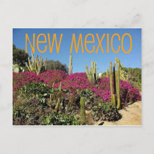 Postal Nuevo México