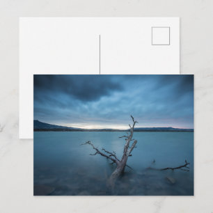 Postal Nuevo México