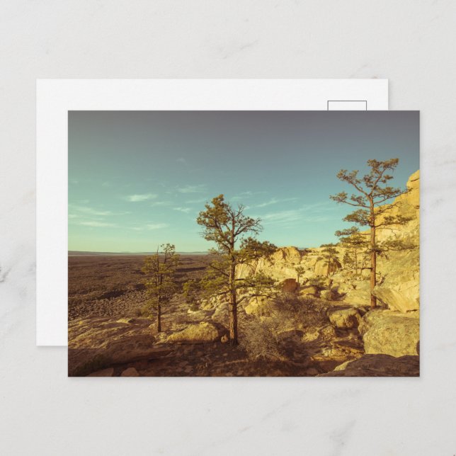 Postal Nuevo México (Anverso / Reverso)