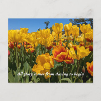 Postal Nuevos Comienzos Flores de Tulipán Amarillo de Pri