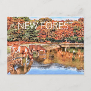 Postal Nuevos ponis forestales
