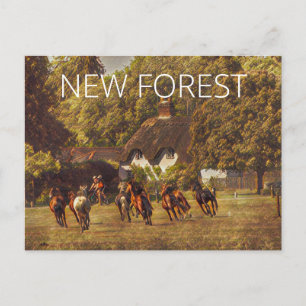 Postal Nuevos ponis forestales