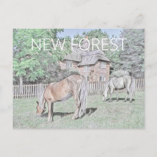 Postal Nuevos ponis forestales
