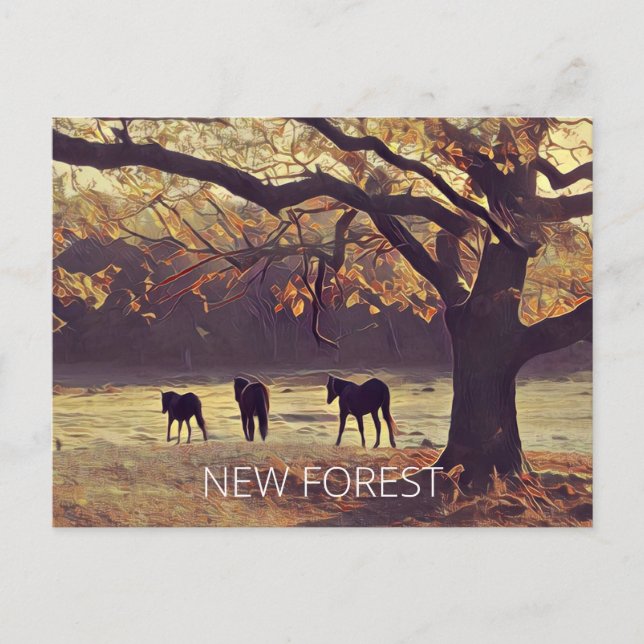 Postal Nuevos ponis forestales (Anverso)