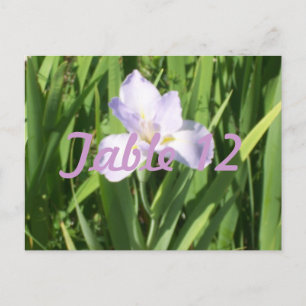 Postal Número de mesa de Iris Púrpura