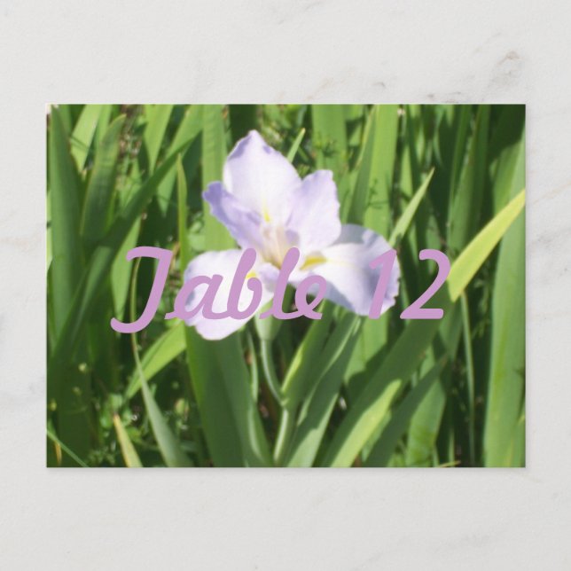 Postal Número de mesa de Iris Púrpura (Anverso)