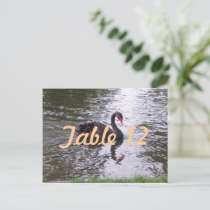 Postal Número de mesa del cisne negro