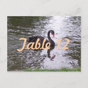 Postal Número de mesa del cisne negro