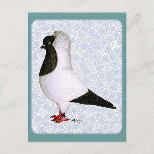 Postal Nun Pigeon de 1973