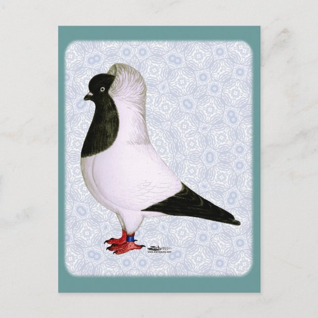 Postal Nun Pigeon de 1973 (Anverso)