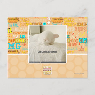 Postal nunca me encontrarán aquí