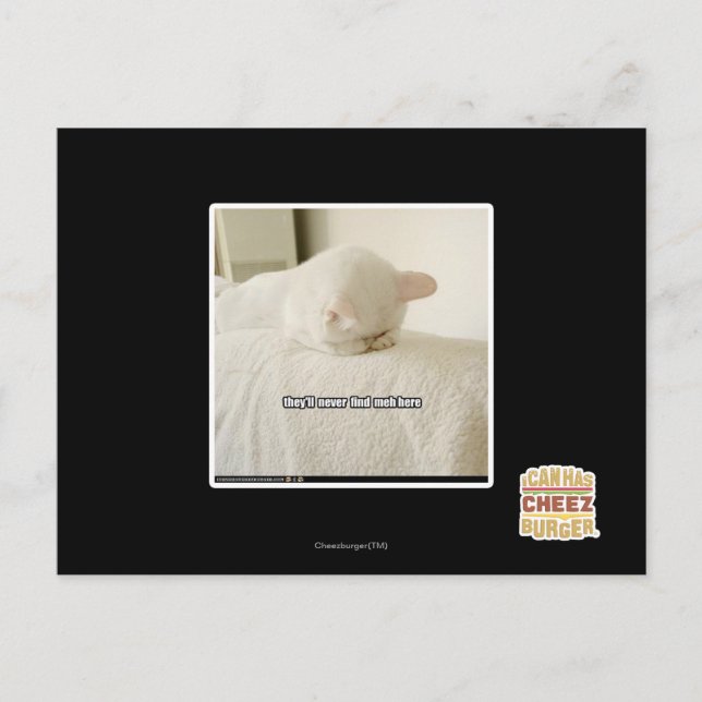 Postal nunca me encontrarán aquí (Anverso)