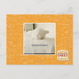 Postal nunca me encontrarán aquí